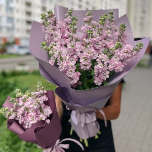  «Камелія» – мережа квіткових магазинів для тих, хто цінує красу